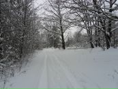 Вова Таргоній фотография #41 (источник - https://vk.com/id62501575)