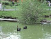 Фотография Иванов Владимир