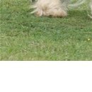 Даша Матинян фотография #27 (источник - https://vk.com/id34196743)