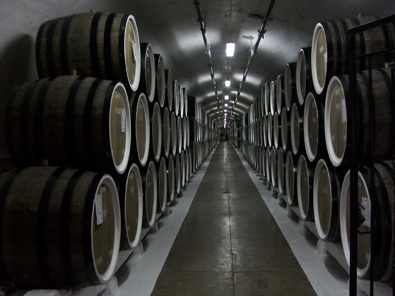 Игорь Яненко фотография #29