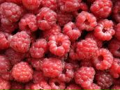 Фотография Чечулина Ильи