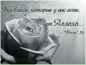 Фотография Саб Гулины