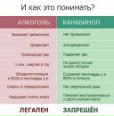 Deniz True фотография #19 (источник - https://vk.com/id595884)