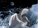 Сергій Прокопишин фотография #18 (источник - https://vk.com/id66292079)
