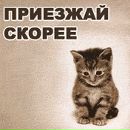 Міша Штайн фотография #21 (источник - https://vk.com/id105879190)