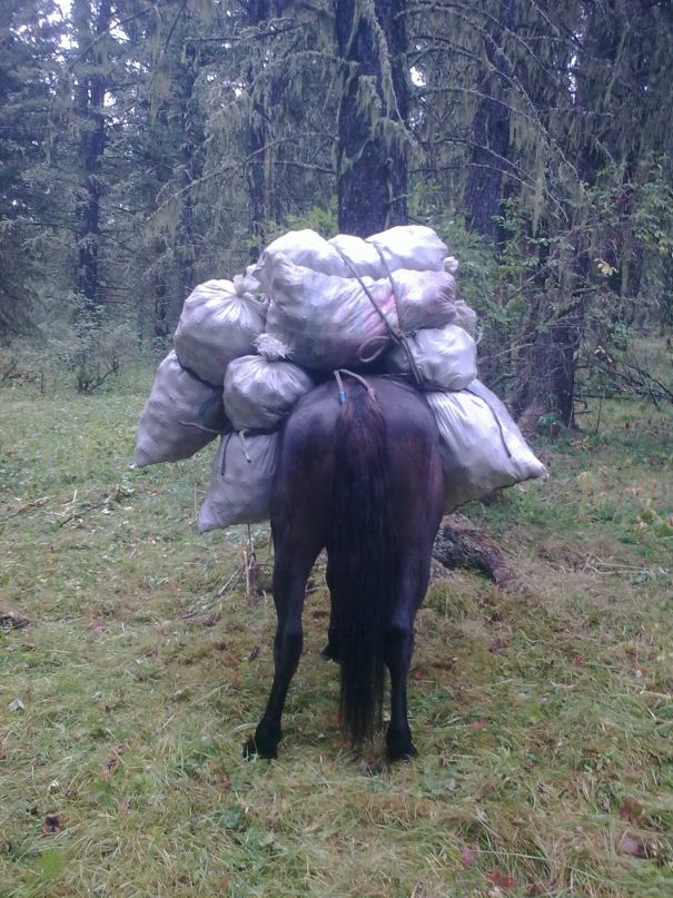 Сергей Плугарь фотография #20