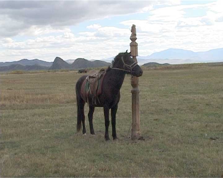 Белек Лангаа фотография #19