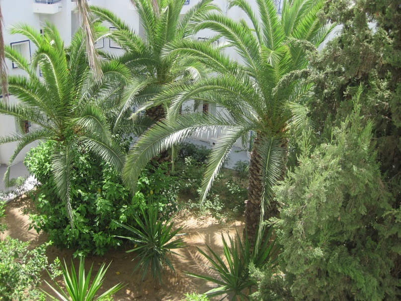 Ольга Инт фотография #39