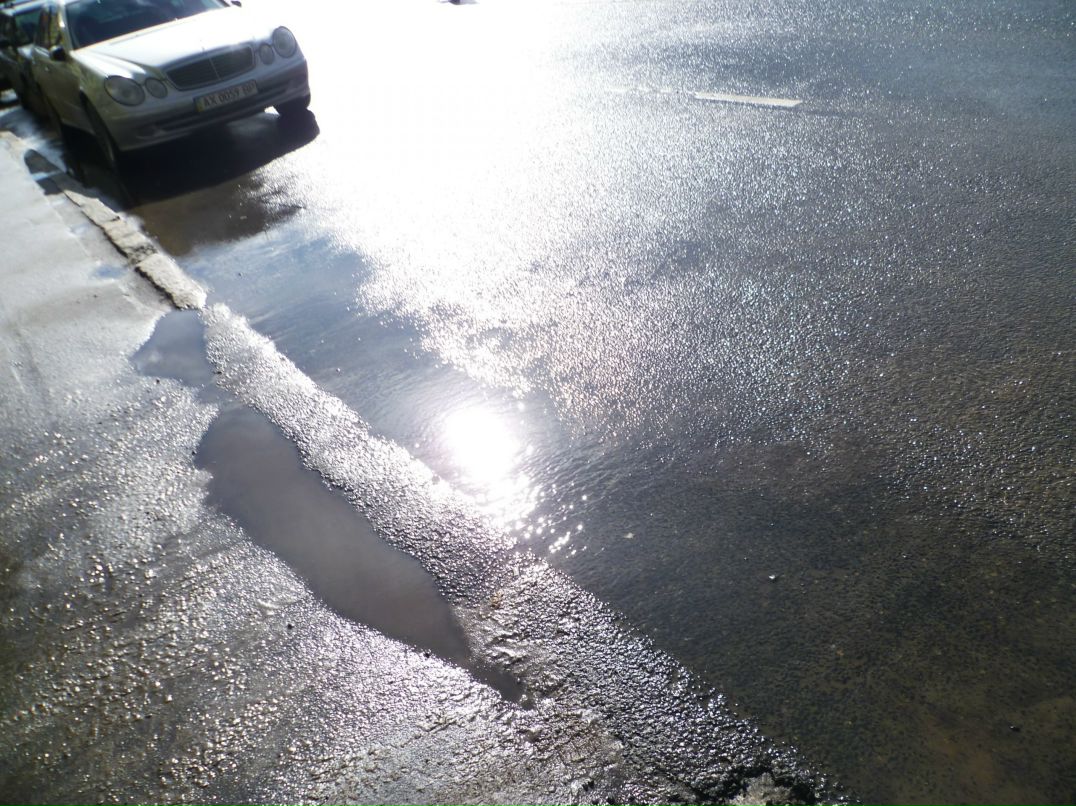 Dragon Fly фотография #42