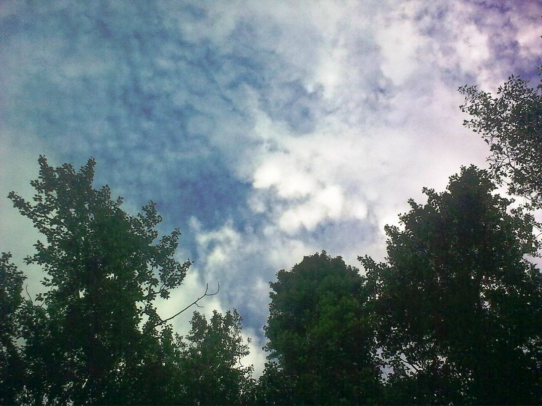 Mc Sim фотография #20