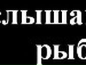 Олександр Янчиківський фотография #46 (источник - https://vk.com/id53810144)