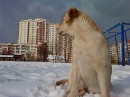 Інді Живко фотография #12 (источник - https://vk.com/id82626680)