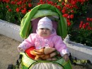 Юрій Паньків фотография #28 (источник - https://vk.com/id41604558)