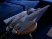 Polina Smith фотография #4 (источник - https://vk.com/id1177385)