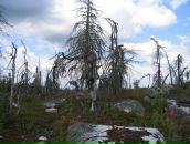 Иван Паньков фотография #44 (источник - https://vk.com/id746503)