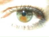 Фотография Шутовой Марины