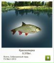 Олексій Стасів фотография #31 (источник - https://vk.com/id164843634)