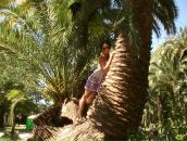 Фотография Чикановой Елены