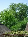 Микола Кіш фотография #11 (источник - https://vk.com/id22903512)