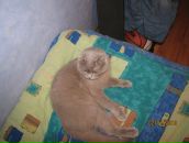 Марк =))) фотография #3 (источник - https://vk.com/id89874033)