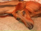 Фотография Судариковой Натали