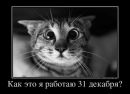 Фотография Микишева Антона
