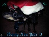 Володимир Овсійчук фотография #46 (источник - https://vk.com/id153336105)