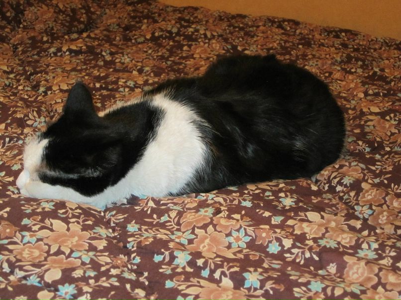 Дмитрий Бурлаков фотография #34