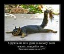 Фотография Кузиной Анны
