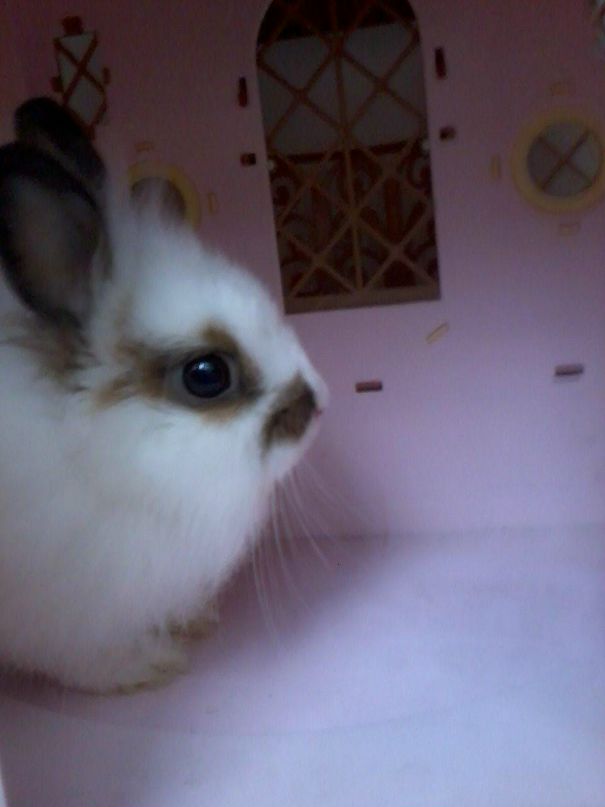 Shnyfel @) фотография #24