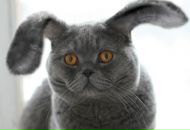 Фотография Москаленко Ангелины