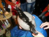 Роман Плотников фотография #49 (источник - https://vk.com/id19038467)