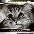 Фотография Морозовой Анастасии