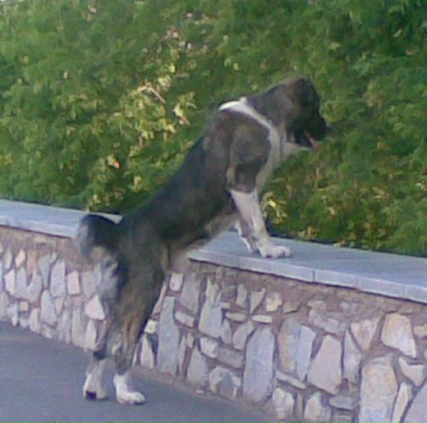 Нелли Маг фото №9