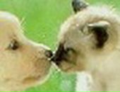 Лера Лоц фотография #39 (источник - https://vk.com/id57504657)