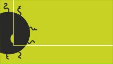 Фотография Степановой Дарьи