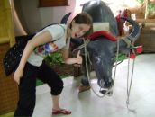 Полина Иванова фотография #41 (источник - https://vk.com/id402498)