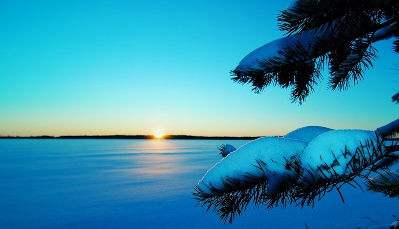 Денис Давлетов фотография #28