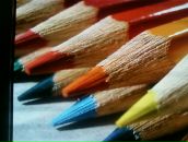 Фотография Соколовой Яны