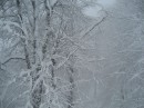 Анна Щепилова фотография #18 (источник - https://vk.com/id493170)