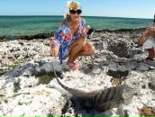 Фотография Lemekh Alla