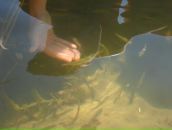 Фотография Холдеева Евгения