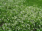 Маряна Сокіл фотография #38 (источник - https://vk.com/id8316949)