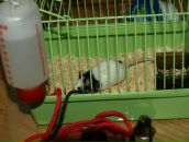 Віталік Талько фотография #36 (источник - https://vk.com/id93295017)