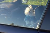 Фотография Мазуриной Галины