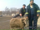 Діма Найко фотография #30 (источник - https://vk.com/id95433297)