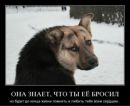 Інна Ястремська фотография #13 (источник - https://vk.com/id138457890)