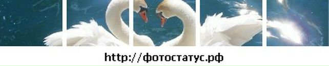 Віталік Ткачук фотография #20 (источник - https://vk.com/id77372732)