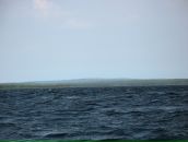 Михаил Романенко фотография #15 (источник - https://vk.com/id990772)