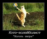 Фотография Пархомчука Ильи